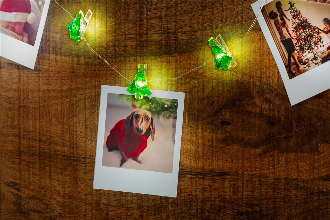 Stringa 10 LED con Clip Albero Natale per Appendere Foto IP20 con Timer GOOBAY - immagine 3