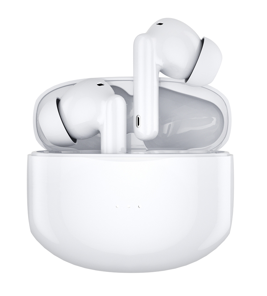 Auricolari Wireless BT v5.1 Cancellazione del Rumore con Custodia di Ricarica 2 in 1 TECHLY