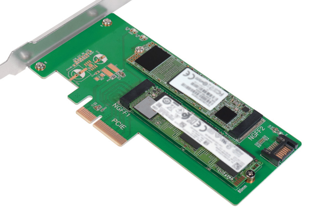 Doppio Adattatore PCIe M.2 per SSD SATA e PCIe SATA LOGILINK - immagine 3