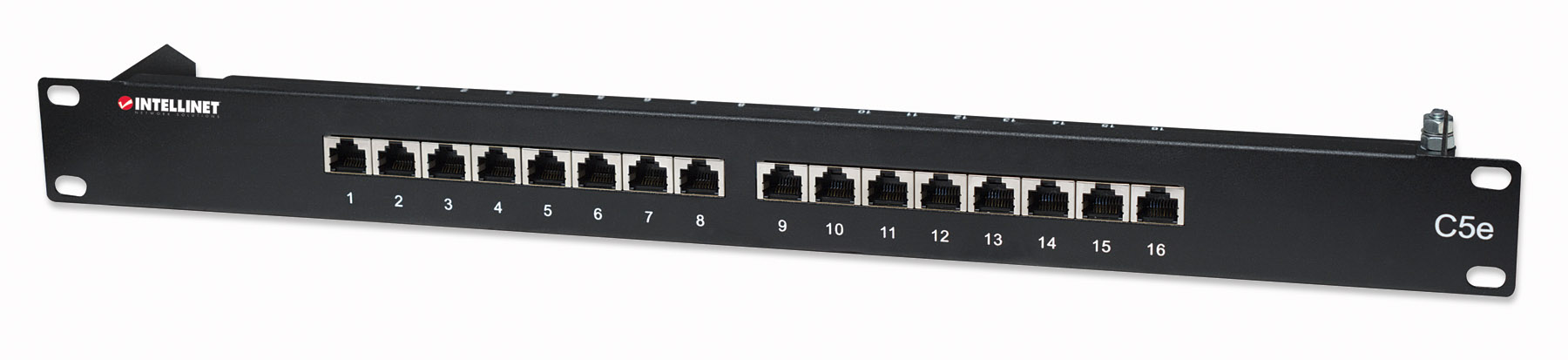 Pannello Patch Cat5e: Massima Protezione INTELLINET