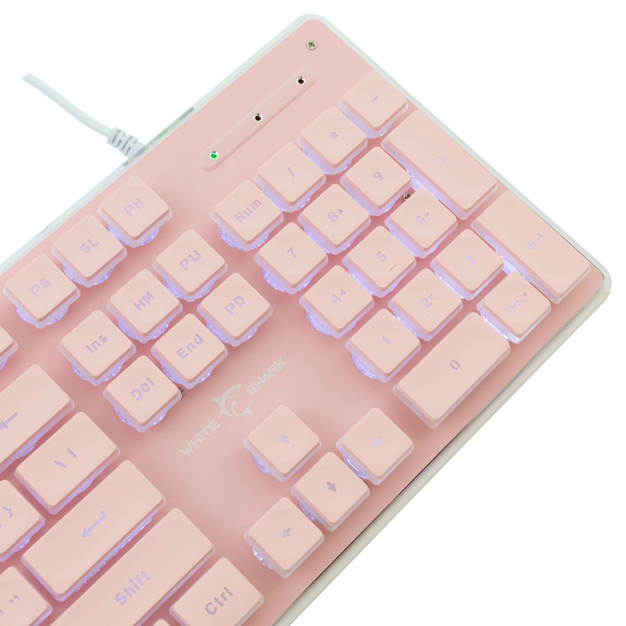 Tastiera Gaming USB 104 Tasti con Retroilluminazione LED Rosa WHITE SHARK - immagine 4