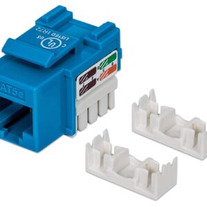 "Keystone Blu: il frutto C5E UTP per connessioni veloci RJ45" INTELLINET