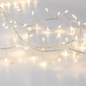 Luci LED Grappolo Argento Caldo IP44 GOOBAY