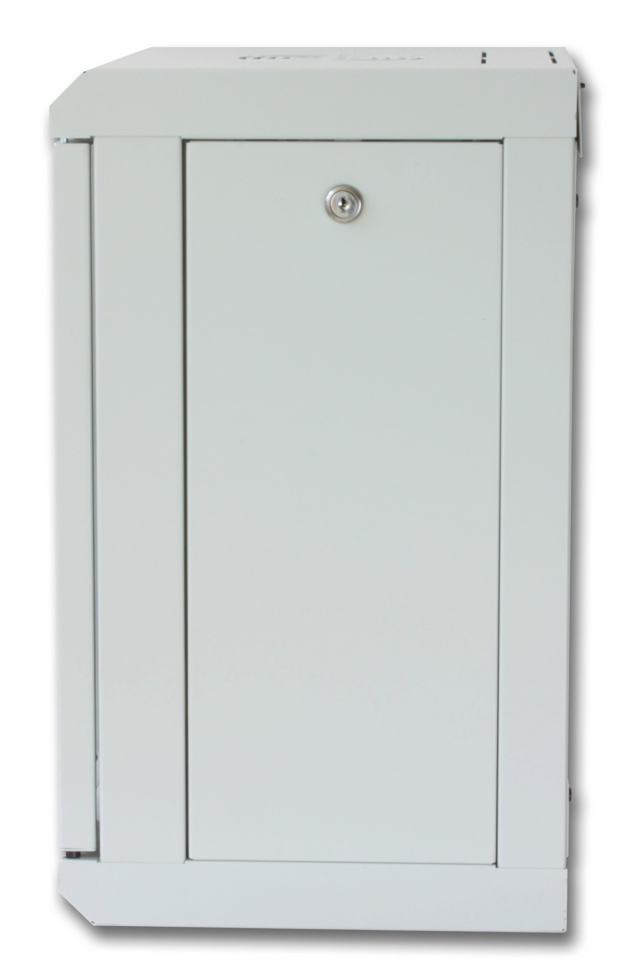 Armadio Rack 10'' a muro 9 unità con pannelli asportabili Grigio prof. 300 mm TECHLY PROFESSIONAL - immagine 3