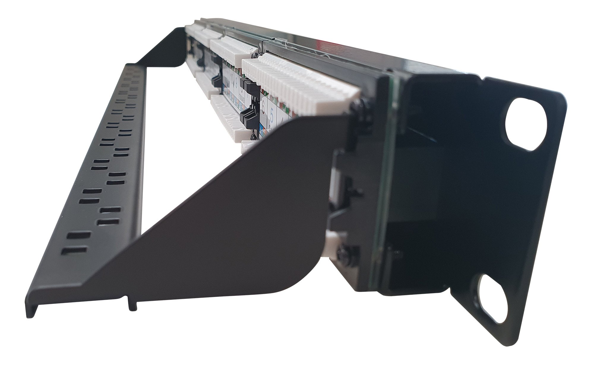 Pannello Patch UTP 24 Posti RJ45 Cat.6 con barra gestione cavi TECHLY PROFESSIONAL - immagine 3