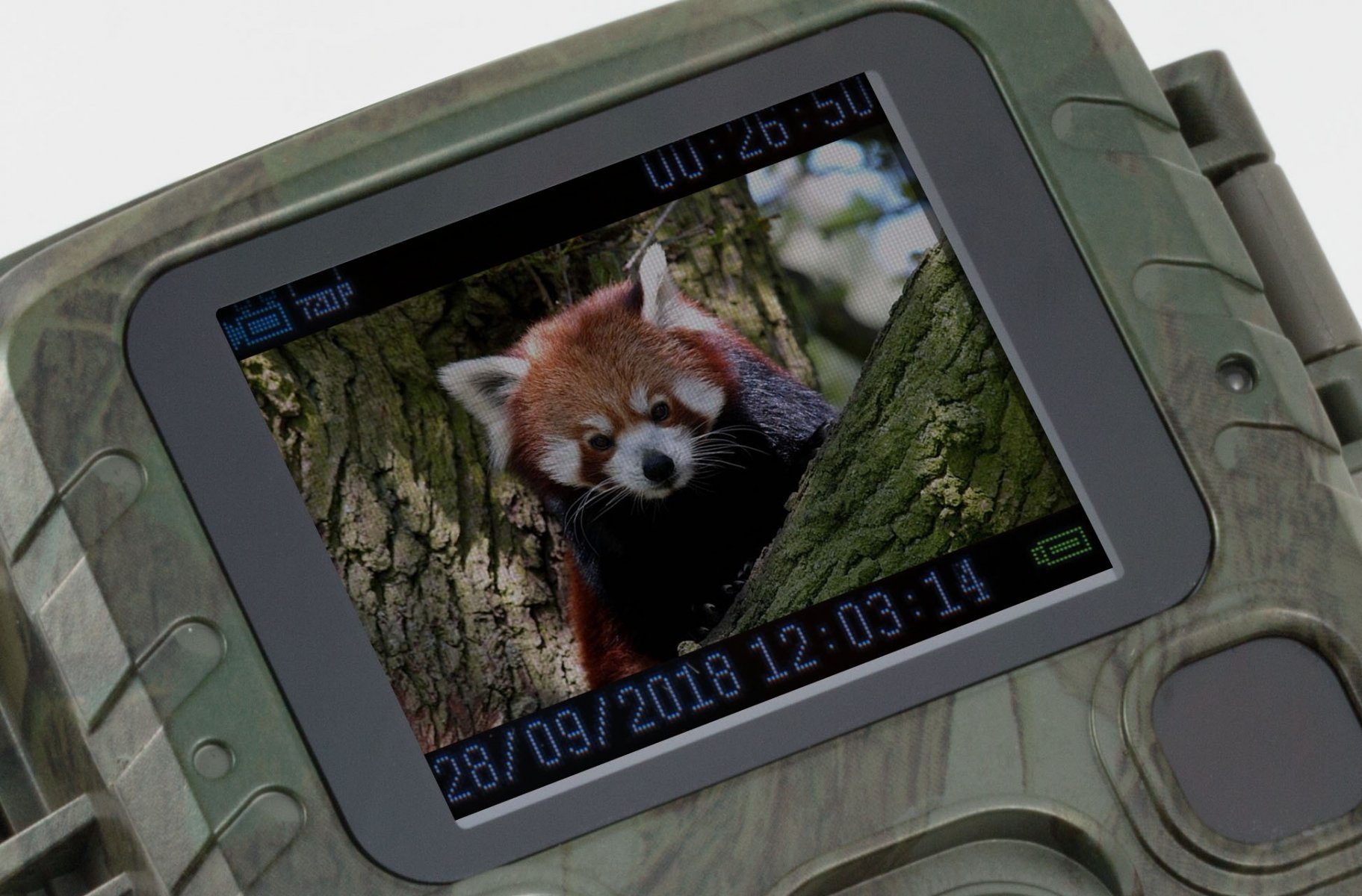 Camera Wild 1080P 12MP IP56 PIR IR 18m per Osservazione Fauna, TX-117 TECHNAXX - immagine 3