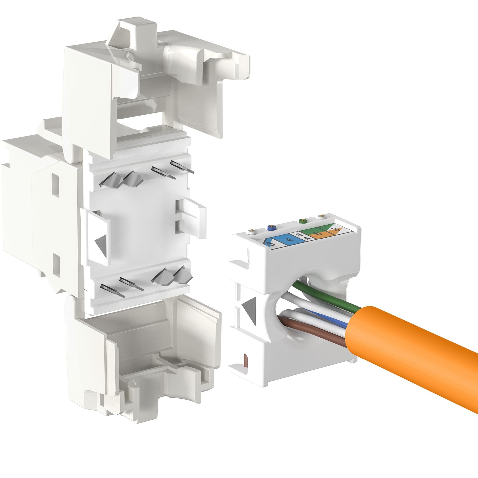 Frutto Keystone Cat.6A UTP Bianco con tappo antipolvere OEM - immagine 4