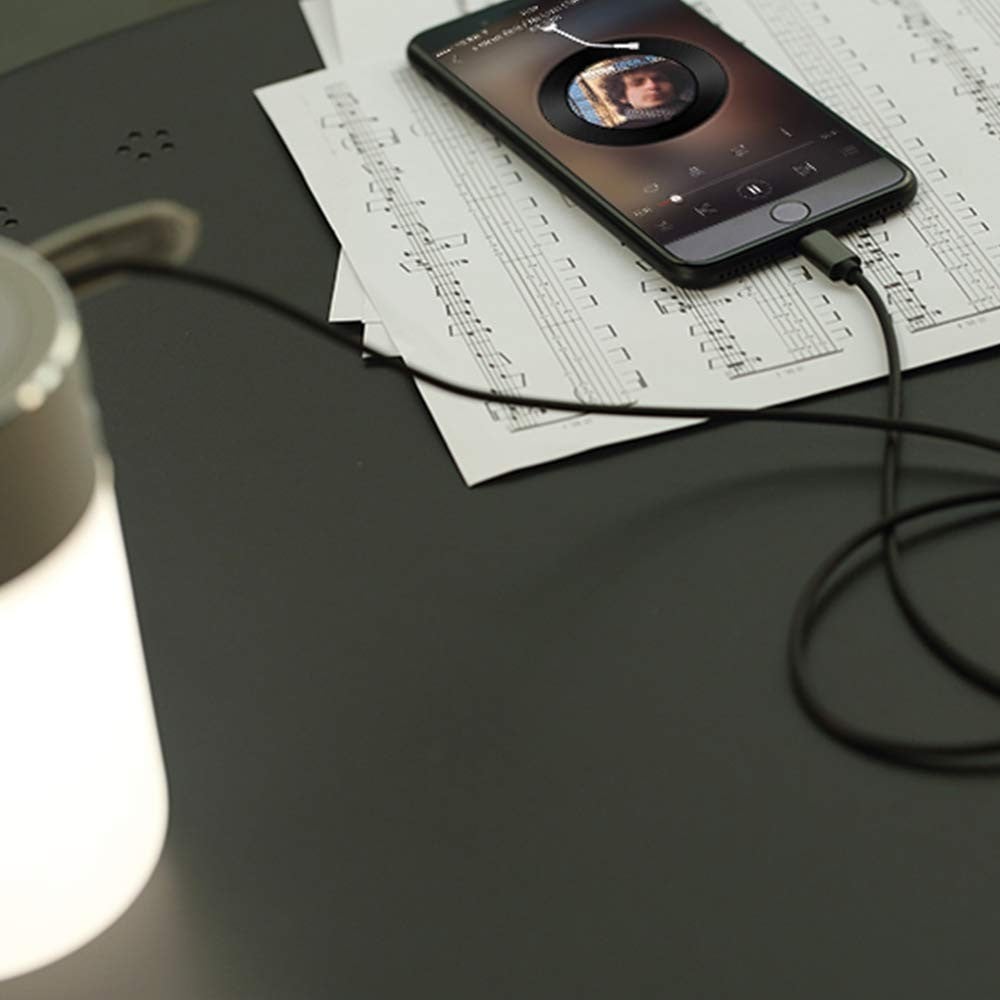 Cavo da Apple Lightning a Audio 3,5 mm M 1m Nero GOOBAY - immagine 7
