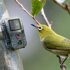 Camera Wild 1080P 12MP IP56 PIR IR 18m per Osservazione Fauna, TX-117 TECHNAXX