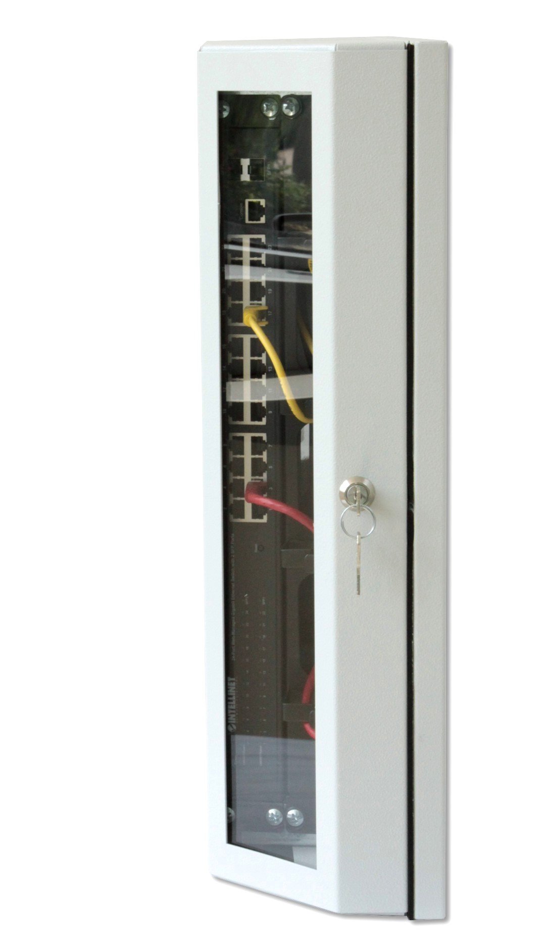 Armadio a muro 19'' Flat 9 Unità Bianco RAL9016 TECHLY PROFESSIONAL - immagine 8