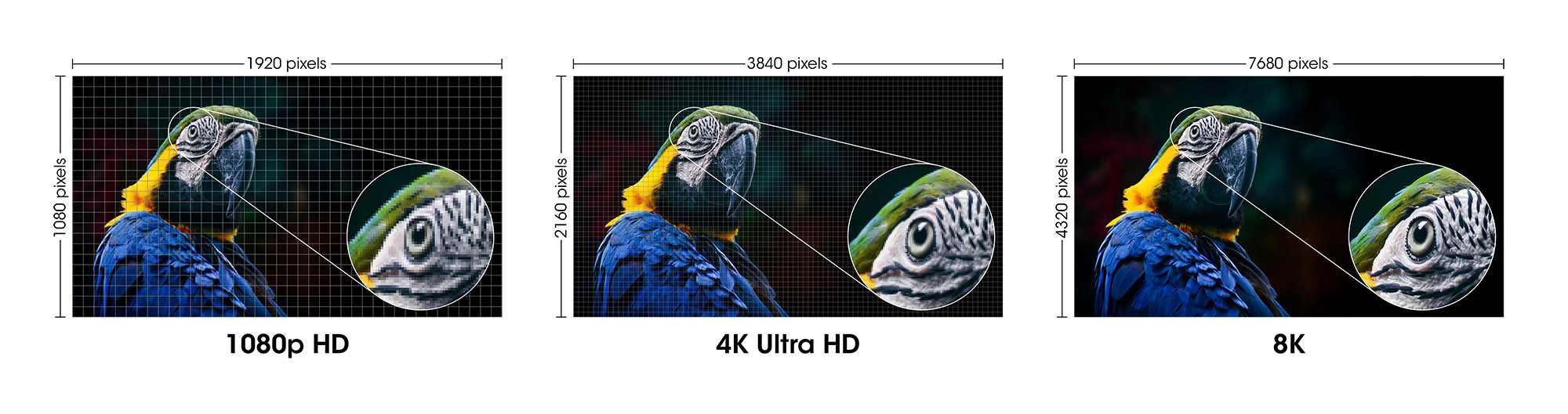 Cavo HDMI con Ethernet ad Altissima Velocità Certificato 8K@60Hz eARC 1m MANHATTAN - immagine 8