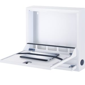 Box di Sicurezza per Notebook e Accessori per LIM Basic Bianco RAL 9016 TECHLY PROFESSIONAL