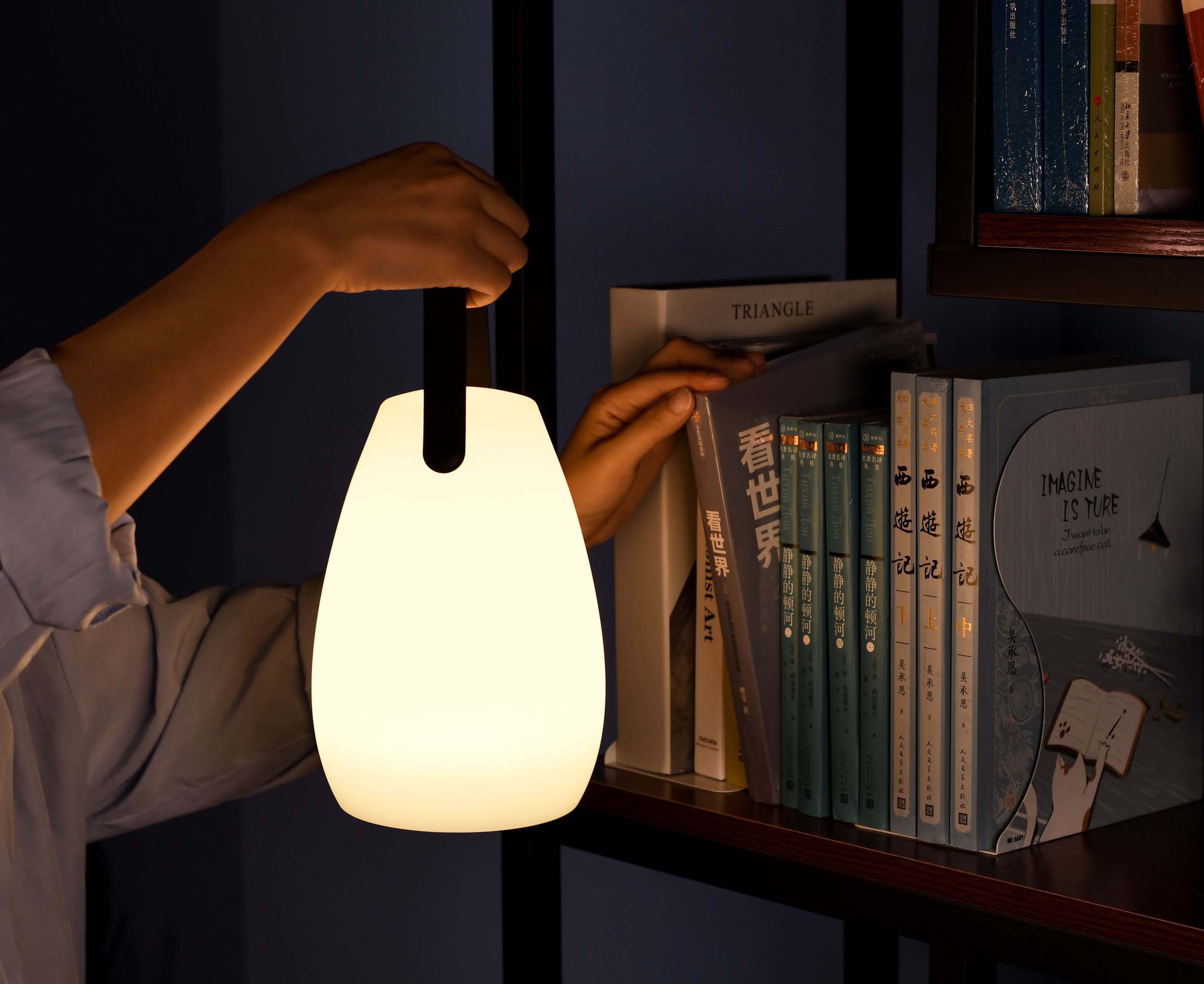 Lampada LED Multicolore Ricaricabile da Tavolo con Maniglia e Telecomando TECHLY - immagine 2