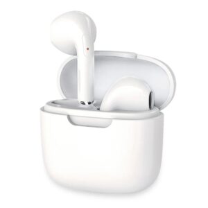 Auricolari Wireless BT v5.1 con Custodia di Ricarica 2 in 1 Bianco FONTASTIC