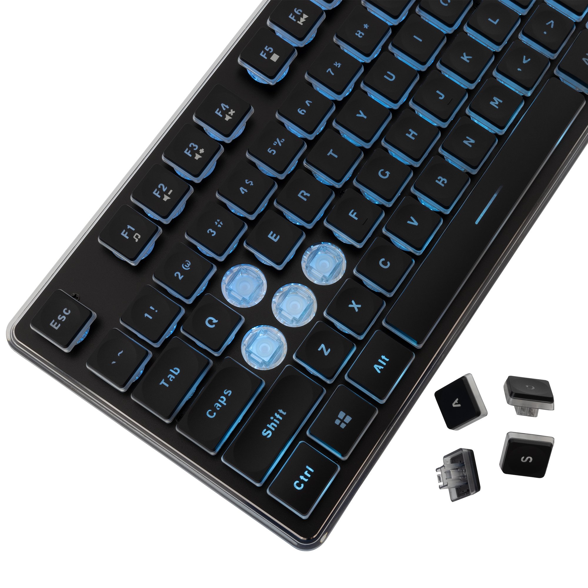 Tastiera Gaming USB 104 Tasti con Retroilluminazione LED Nero WHITE SHARK - immagine 3