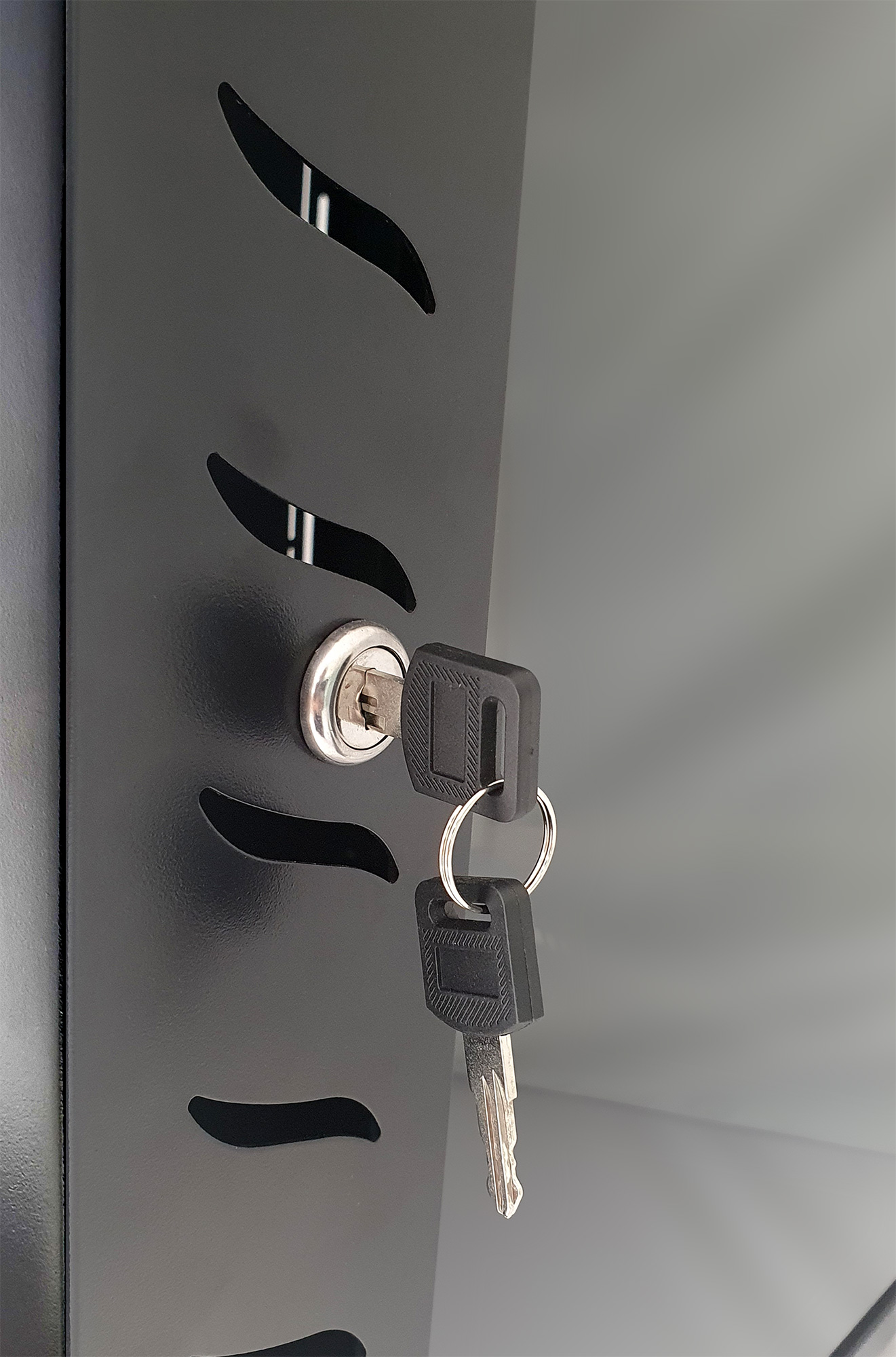 Armadio Rack 19'' a Muro 12 Unità P.600 mm Flat Pack Nero TECHLY PROFESSIONAL - immagine 5